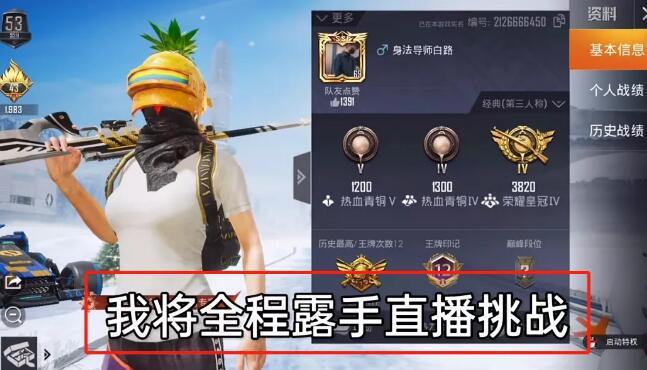 和平精英《独行者》外挂